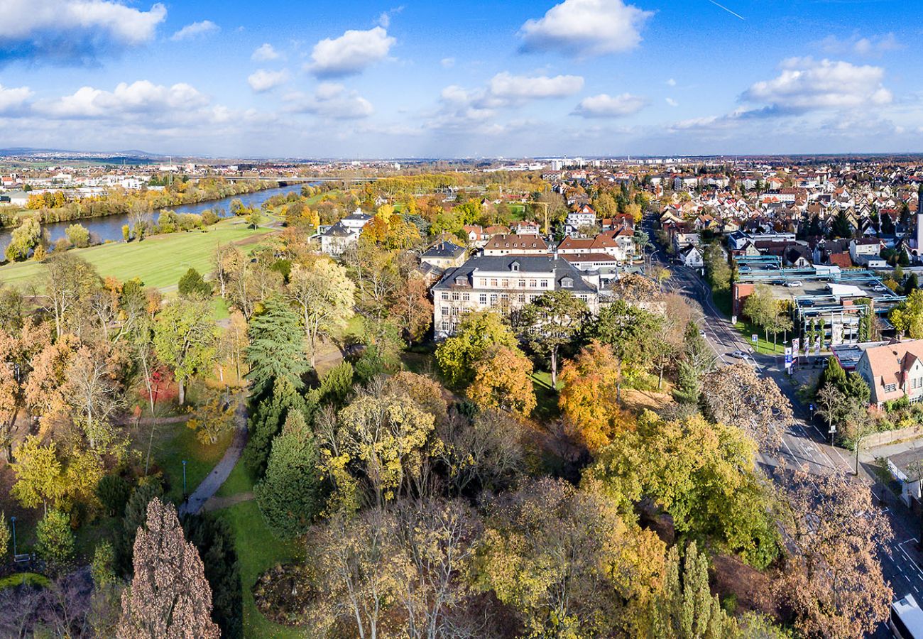 Luftaufnahme von Rüsselsheim am Main im Herbst mit dem weitläufigen Schlosspark, dem historischen Schloss und dem Main im Hintergrund.